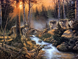 River, wolves, forest