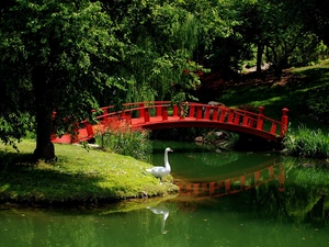 Park, bridges, Swans, River