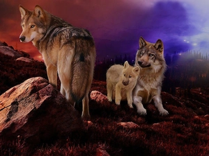 wolves, west, sun, rocks