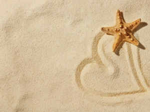 Beaches, starfish, Heart, Sand