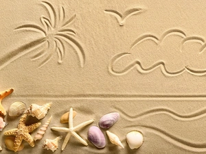 Drawing, Shells, starfish, Sand