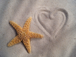Sand, starfish, Heart