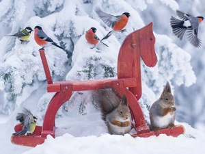 wooden, Gil, birds, sea-horse, squirrels