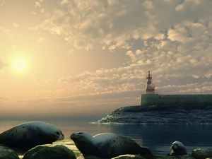 sun, seals, maritime, west, Lighthouse