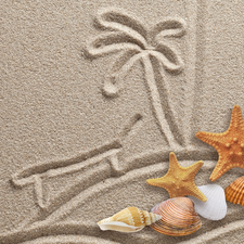 Sand, starfish, composition, Shells