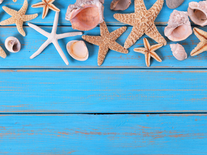 starfish, Blue, boarding, Shells