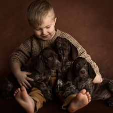boy, puppies, German Shorthair Pointers, Dogs