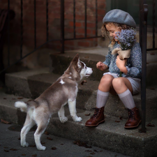 Flowers, girl, Puppy, Siberian Husky, dog, Beret