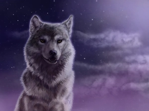 Sky, Wolf, Starry