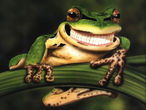 Teeth, strange frog, Smile