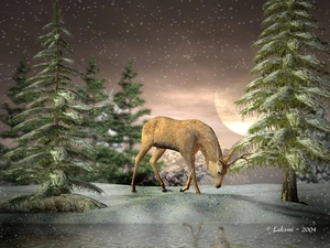 deer, forest, 3D, snow
