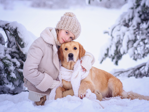 Golden Retriever, girl, snow, Scarf, winter, dog