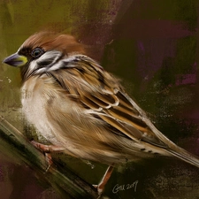 Bird, twig, graphics, sparrow