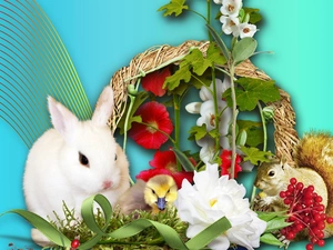Rabbit, Flowers, Easter, squirrel