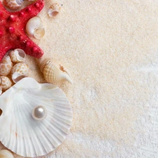 Shells, pearl, Sand, starfish