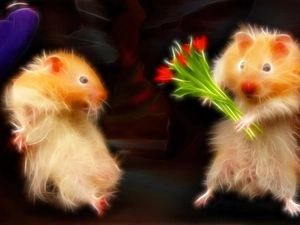 bouquet, 3D, Hamsters, Steam, Two cars
