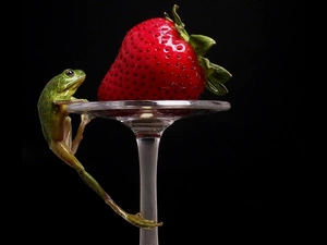 Strawberry, frog