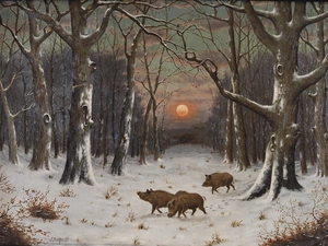 forest, west, copy, sun, winter, wild, Image