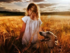 Field, girl, west, sun, clouds, greyhound