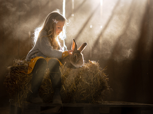 rays of the Sun, girl, Rabbit