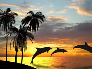 west, sun, sea, Palms, dolphins