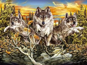 trees, Three, west, sun, viewes, wolves