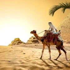 Sand, Camel, Palm, Pyramid, Egypt, Desert, Great Sunsets