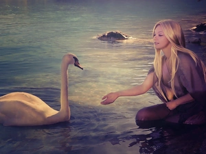 Swans, Women, Blonde