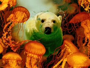 White, teddy bear, jellyfish, polar