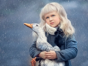 Bird, goose, Blonde, The look, girl