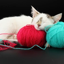 sleepy, color, Threads, cat
