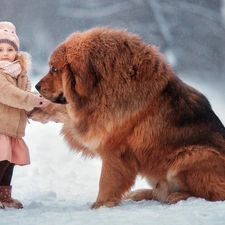 winter, snow, dog, Tibetan Mastiff, girl