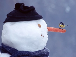 birdies, Snowman, winter, tit
