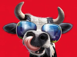 Cow, Glasses, horns, Tounge