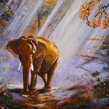 forest, painting, ligh, Way, flash, viewes, trees, Elephant, picture, luminosity, sun