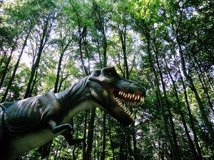forest, viewes, dinosaur, trees