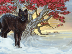 Poster Image, Wolf, trees