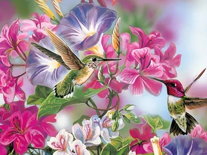 hummingbirds, Art, Flowers, Two cars, color