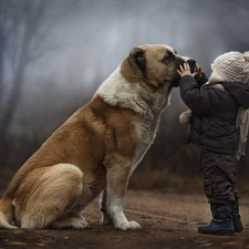 Trees Bullmastiff, dog, Kid