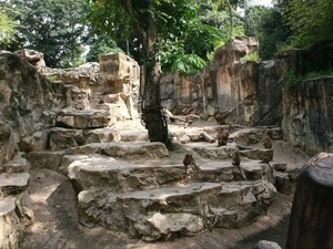 trees, rocks, monkey, viewes