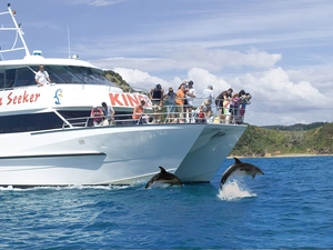 water, Ship, dolphins