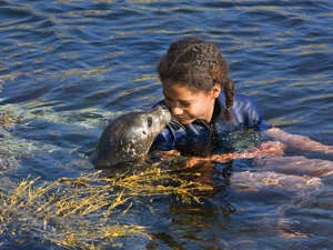 water, girl, seal