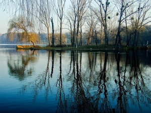 reflection, water, woods, ducks, lake