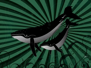 graphics, Two cars, whales