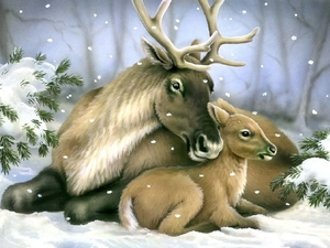 winter, deer, Spruces
