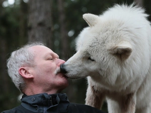 a man, White, Wolf