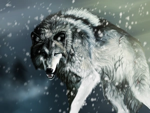 Wolf, snow