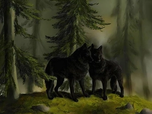 wolves, forest