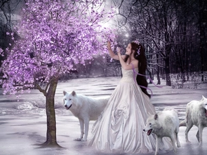 wolves, Women, White