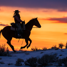 Great Sunsets, Horse, Women